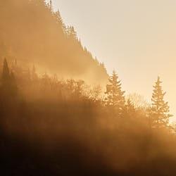 Laurentides - 2019