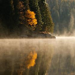 Laurentides - 2019