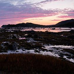 Bas-Saint-Laurent - 2020